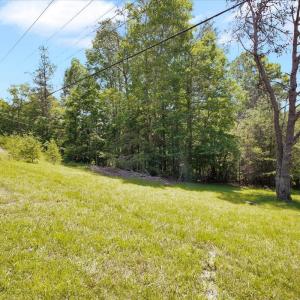 05-Coal Bank Hollow Rd_05