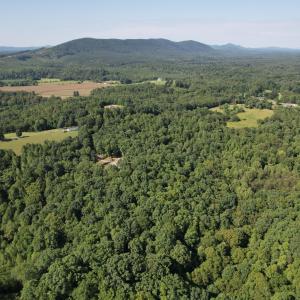 DJI_0005