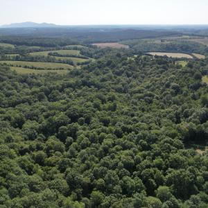 DJI_0008