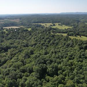 DJI_0007