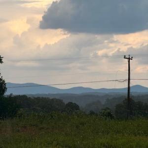 IMG_4297