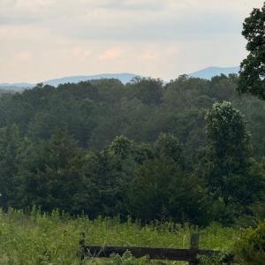 IMG_4319 (1)