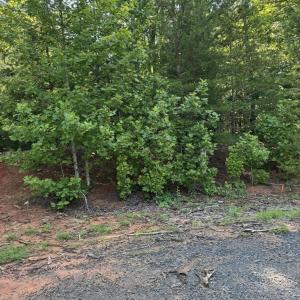 Tract 11 Mint Lane