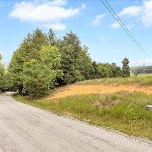 04-8380 Arabian Ln_04