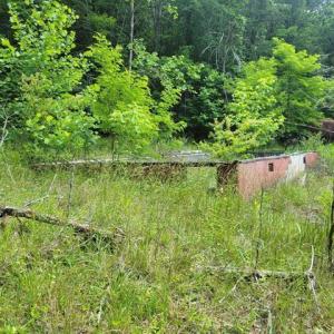 424505-3aa25f38-9a19-4ab7-a048-6ff3b4a02