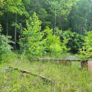 424505-9aeef40b-4168-4cf7-b161-326831635