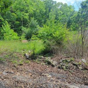 424505-52c1ef08-3cc1-487f-98b2-a38c5a600