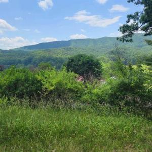 424505-76dbe3ca-2a14-49de-94ed-0ba5ad85a