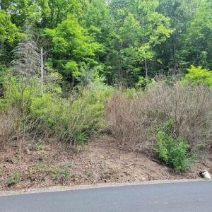 424505-85d60049-c016-45f0-a7bc-7a8337911