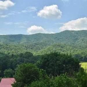 424505-89fbb251-479c-4ec7-a4d5-7191ac5f6