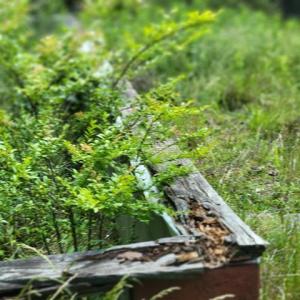 424505-3270d824-16f4-43d9-bcb5-ae6cd8c7b