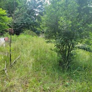 424505-061311f8-191d-46ea-b77e-b56fb588d