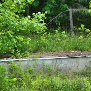 424505-c70581d8-0b71-4c15-aa95-98997d1b1