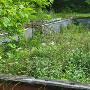 424505-d0c23ca1-ceb6-4db6-b004-45f9693dc