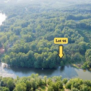 Lot95-1