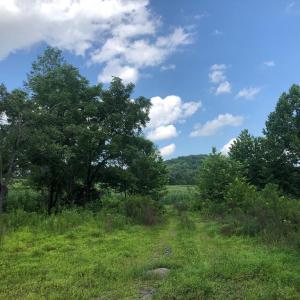 Photo #4 of ORANGE RD., ARODA, VA 23.0 acres