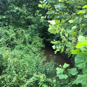 Photo #6 of ORANGE RD., ARODA, VA 23.0 acres