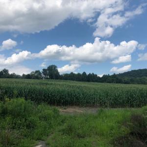 Photo #7 of ORANGE RD., ARODA, VA 23.0 acres