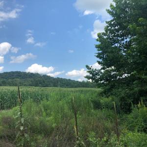 Photo #2 of ORANGE RD., ARODA, VA 23.0 acres