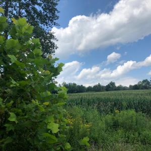 Photo #9 of ORANGE RD., ARODA, VA 23.0 acres