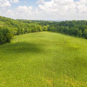 Photo #14 of ORANGE RD., ARODA, VA 23.0 acres