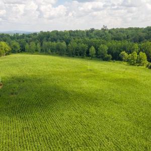 Photo #18 of ORANGE RD., ARODA, VA 23.0 acres
