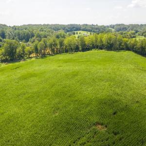 Photo #29 of ORANGE RD., ARODA, VA 23.0 acres