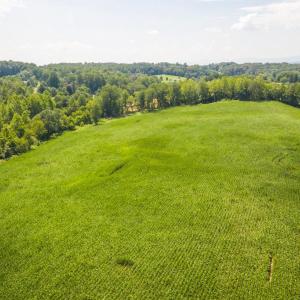 Photo #30 of ORANGE RD., ARODA, VA 23.0 acres