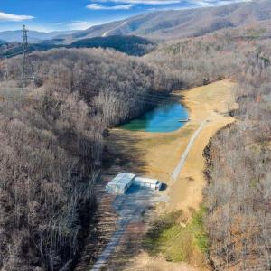 twinehollowpic