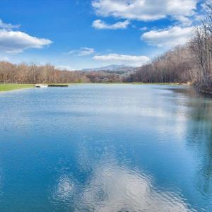 50-50-DJI_20241203112109_0005_D_MIB