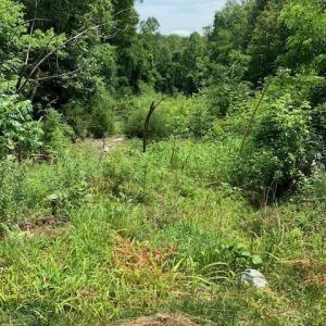 Great Flat lot with well and septic!