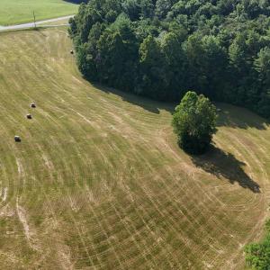 DJI_20250626094048_0003_D