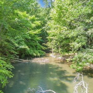 02-DJI_0159