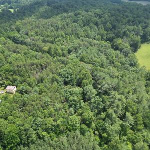 Wooded 0.7AC