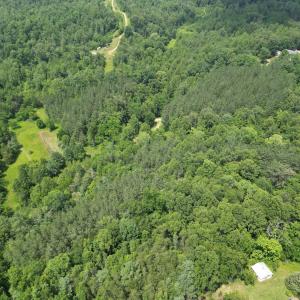 Wooded 0.7AC