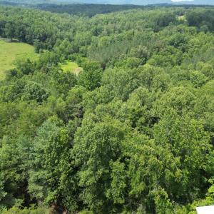 Wooded 0.7AC