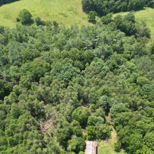 Wooded 0.7AC
