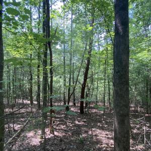Wooded 0.7AC