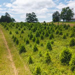 DJI_20250618142047_0438_D