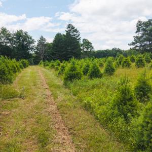 DJI_20250618142059_0439_D