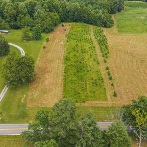 DJI_20250618142602_0448_D