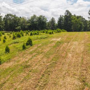 DJI_20250618142756_0455_D