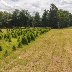 DJI_20250618142804_0456_D