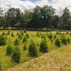 DJI_20250618142831_0459_D