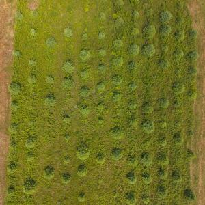 DJI_20250618142903_0461_D