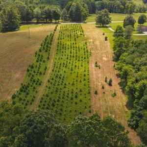 DJI_20250618142924_0462_D