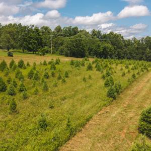 DJI_20250618143159_0477_D