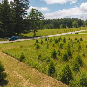 DJI_20250618143205_0478_D