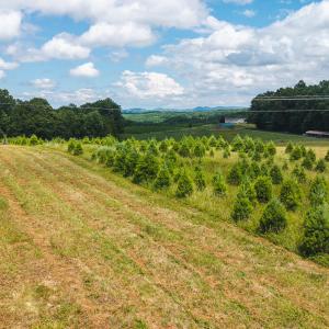 DJI_20250618142712_0451_D