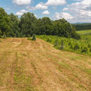 DJI_20250618142729_0453_D